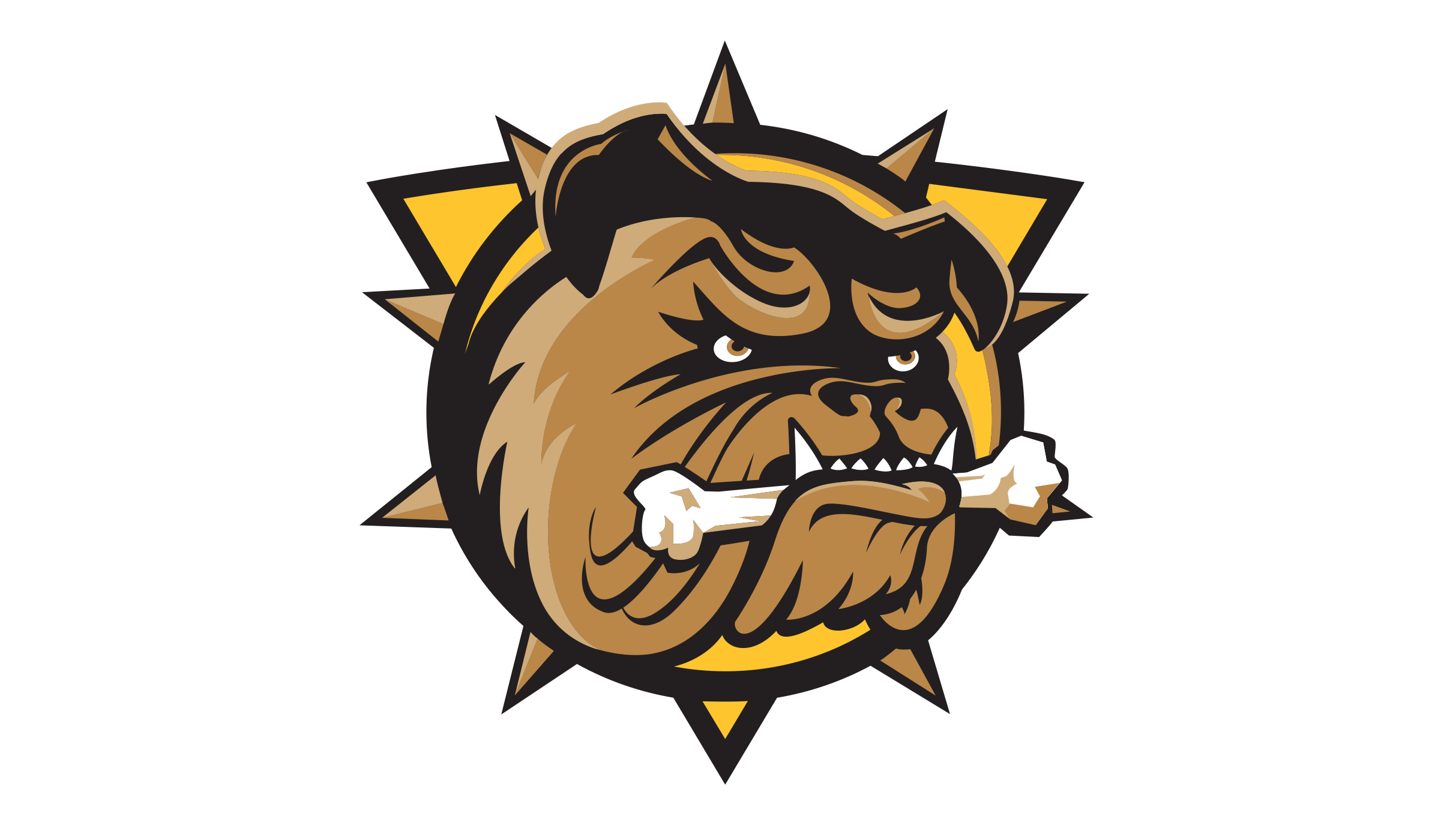 Brantford Bulldogs vs. Kingston Frontenacs