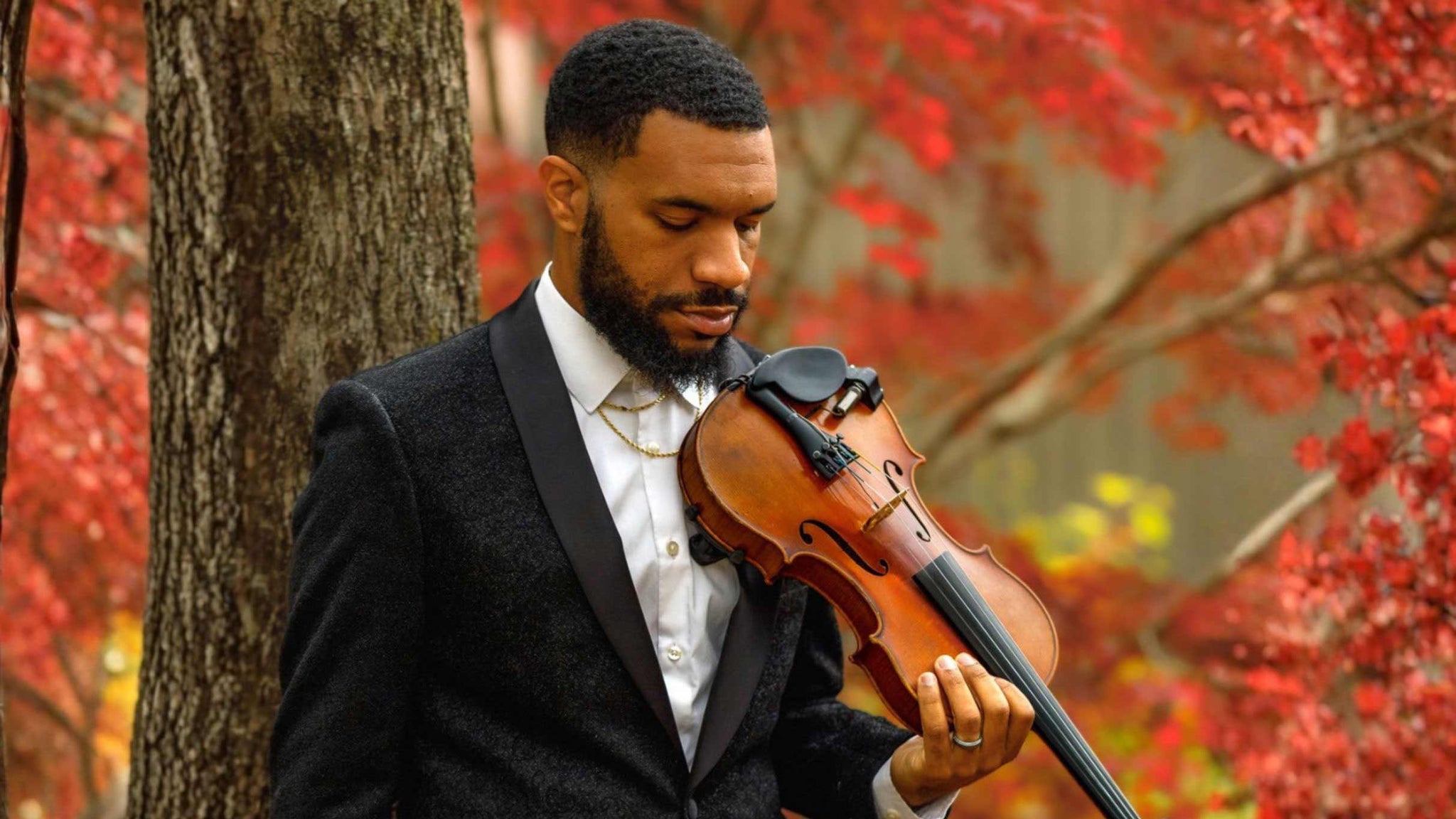 John Violinist Live!