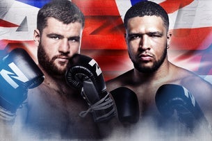Zuffa Boxing 11