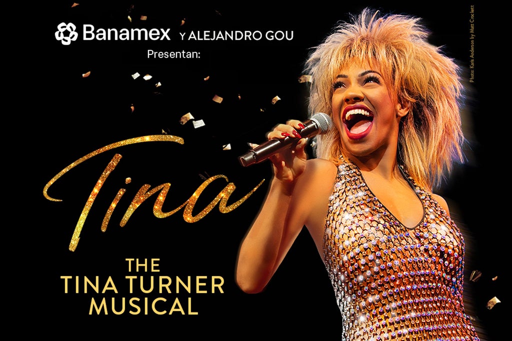 TINA - The Tina Turner Musical