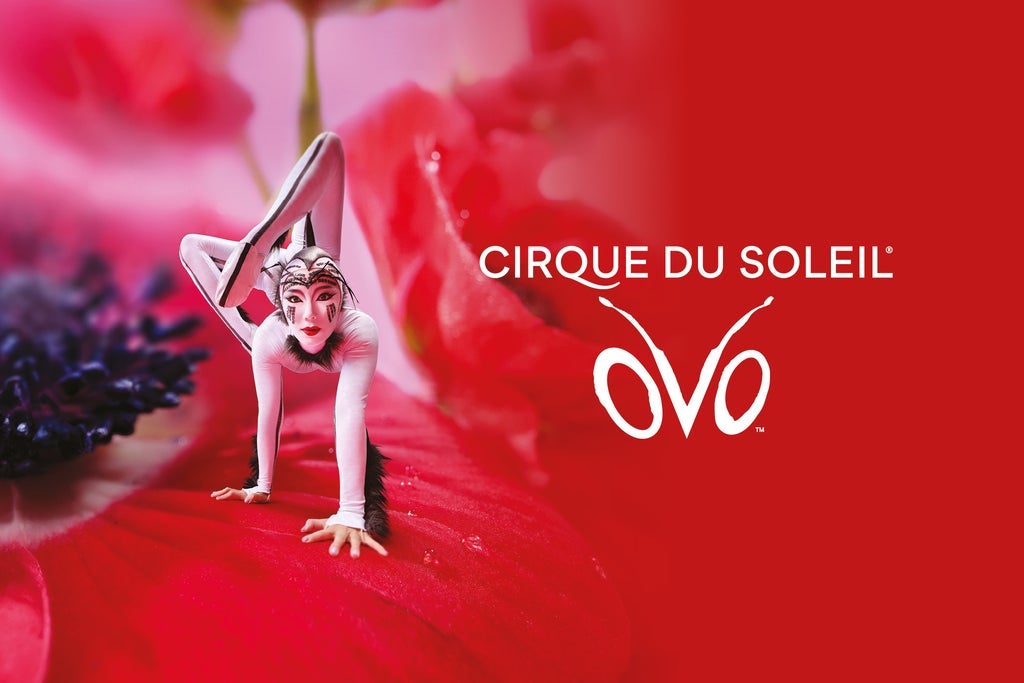 Cirque du Soleil: OVO
