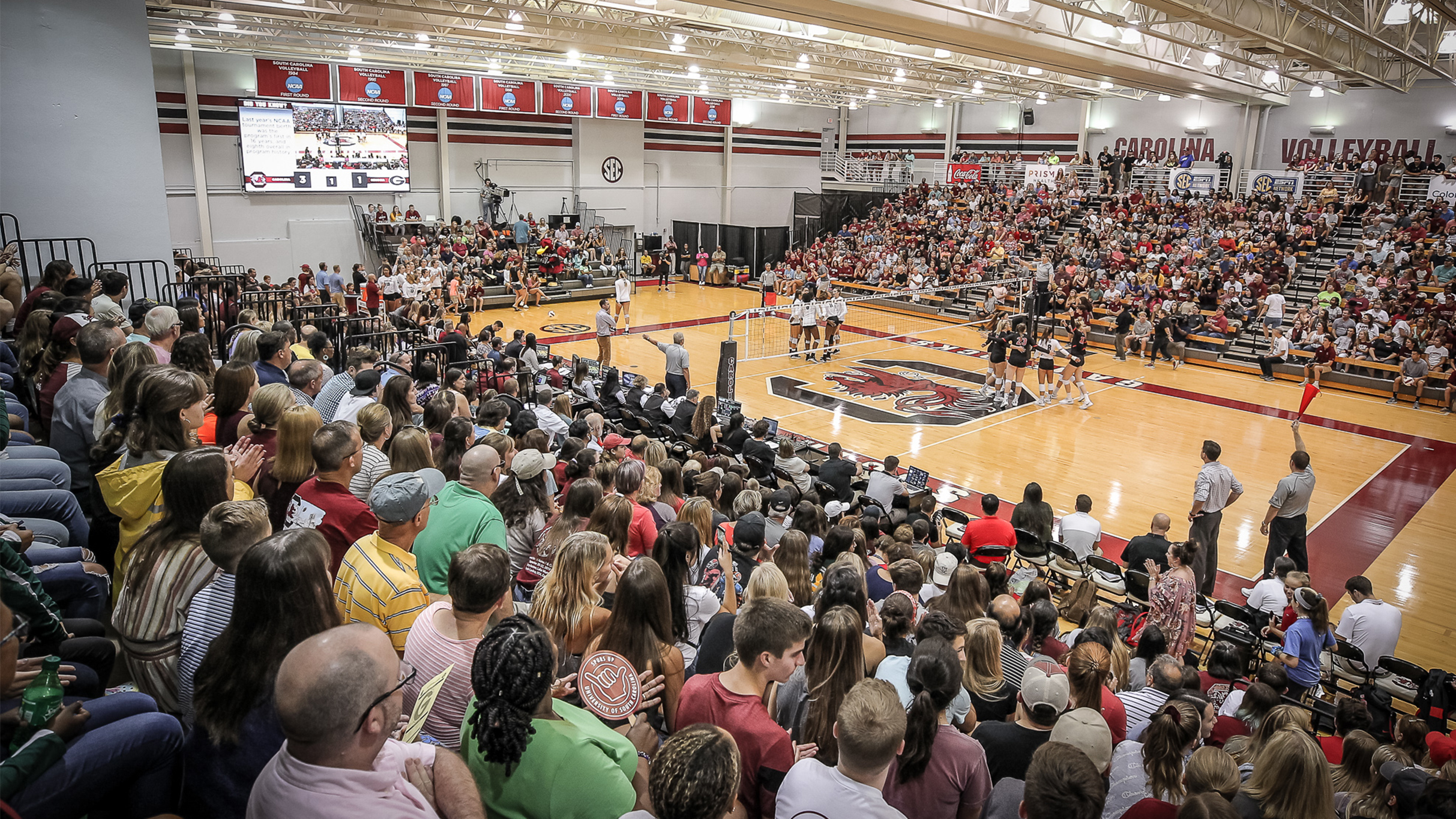 University of South Carolina Gamecocks Womens Volleyball