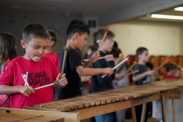 Presales to vienna jammers: the big jam 2026: members use these when buying pre-sale tickets