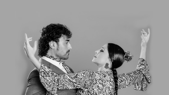 Raiz de 4 by Casa Patas