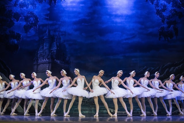 Presales to royal classical ballet: members use these when buying pre-sale tickets