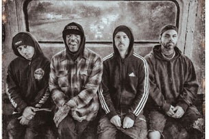 (Hed) P.E. + Cold