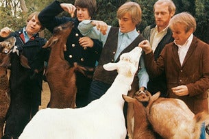 PET SOUNDS - Tribute To The Beach Boys