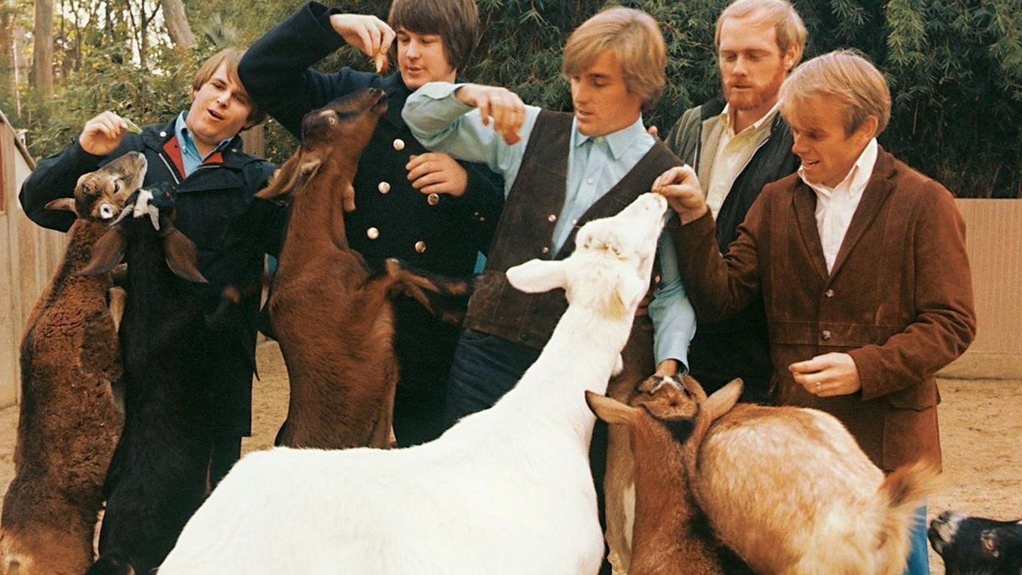 Pet Sounds Live: The Music of The Beach Boys