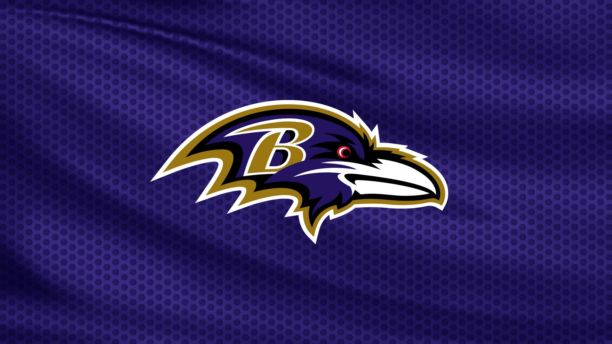 Baltimore Ravens vs. Philadelphia Eagles at M&T Bank Stadium – Baltimore, MD