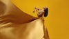 Celebrity Series of Boston presents Alvin Ailey American Dance Theater