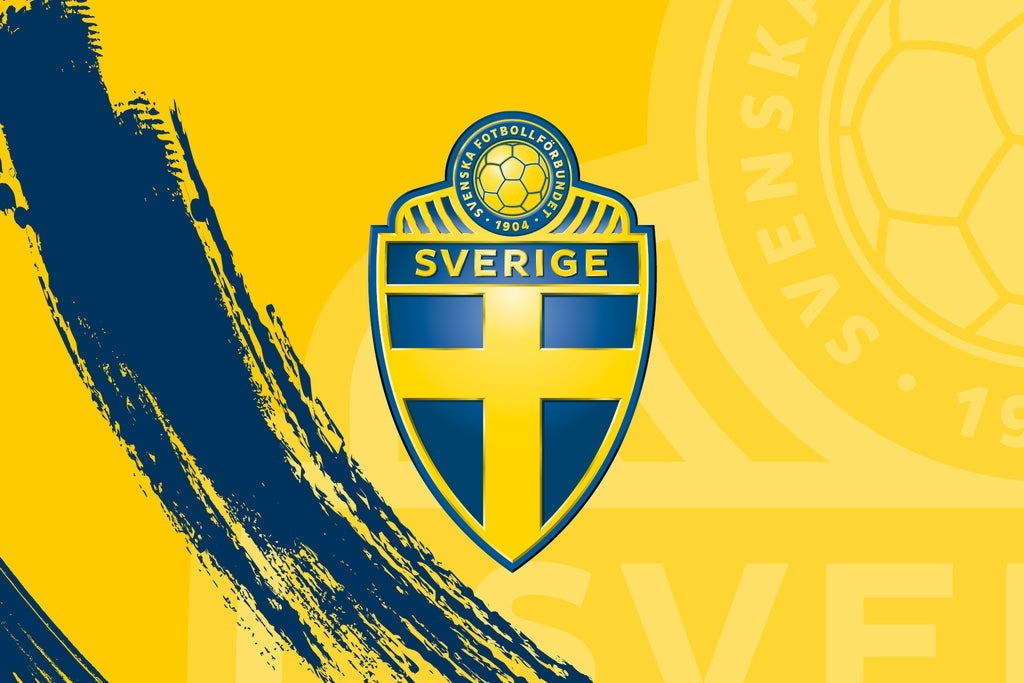 Sverige - Danmark VM-Kval damer