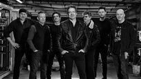 The Bruceband in Nederland