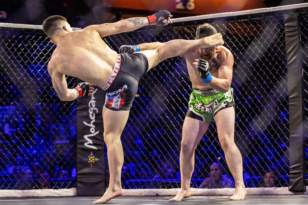 Reality Fighting: A Night of MMA Fights and Grappling Superfights