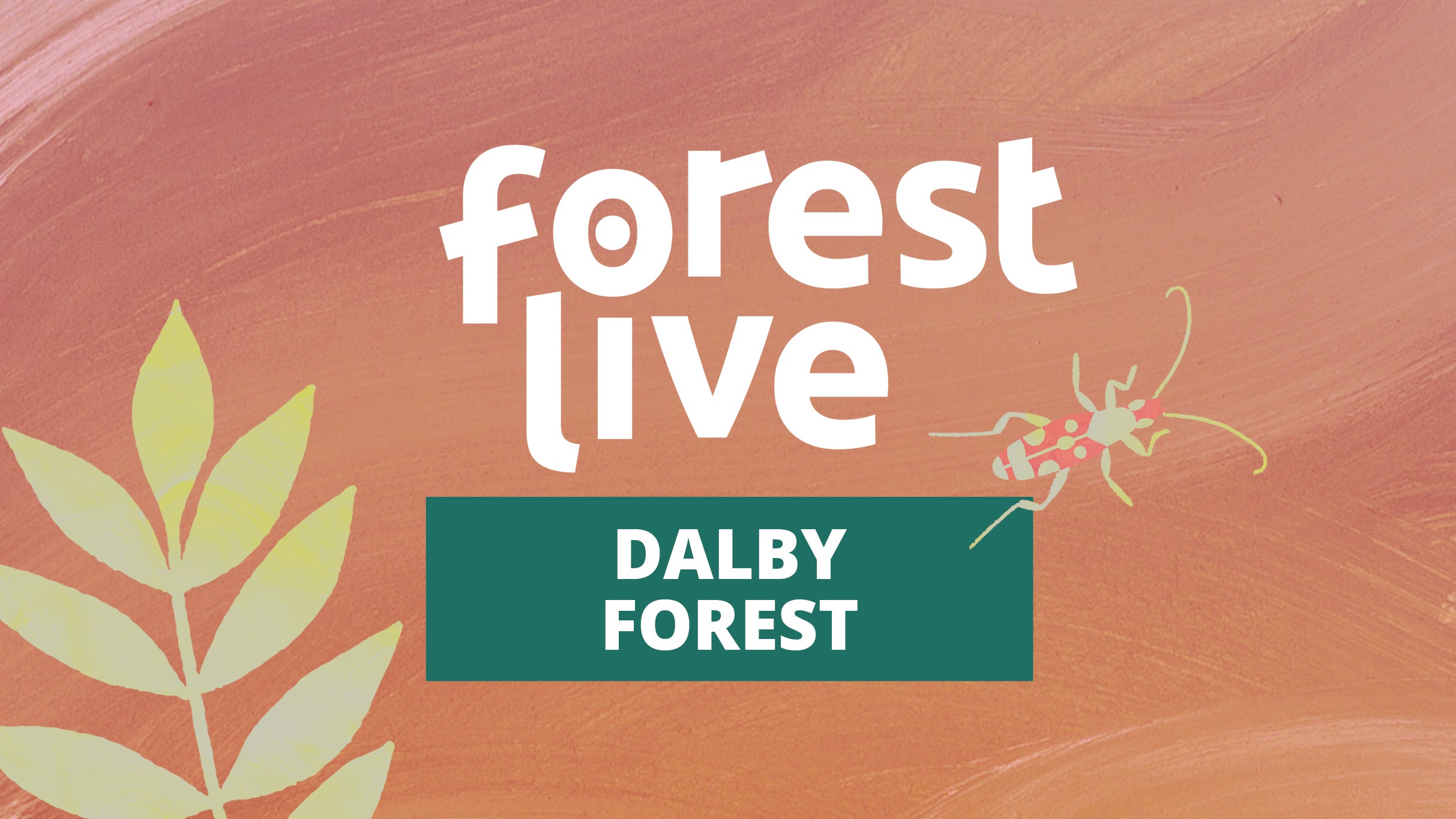 Dalby Forest presale information on freepresalepasswords.com