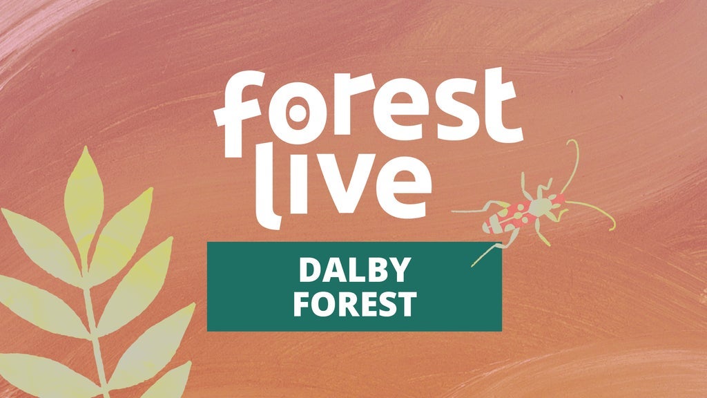 Hotels near Dalby Forest Events
