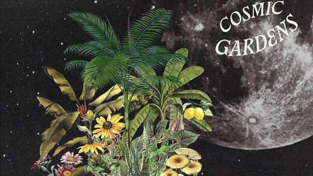 Cosmic Gardens