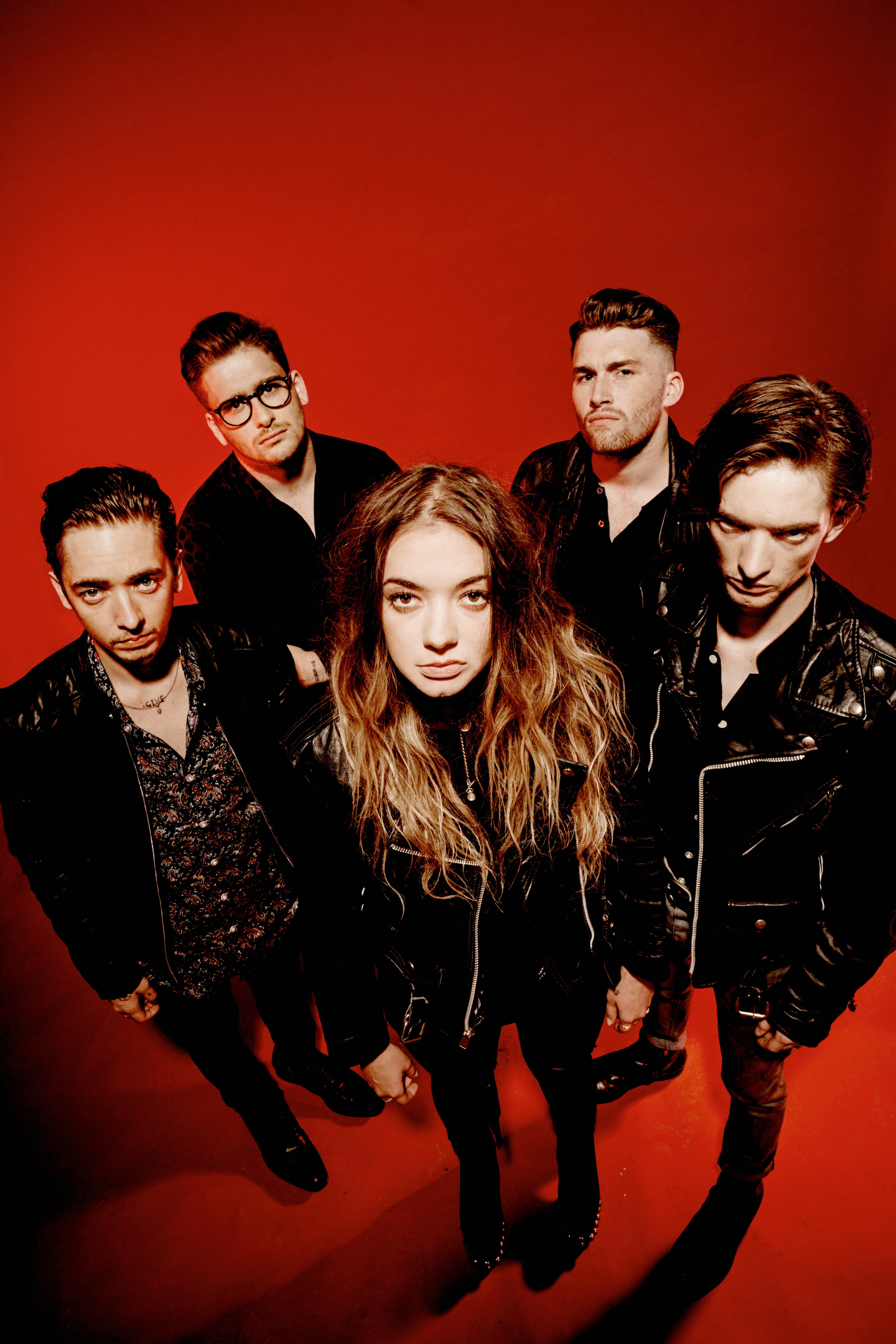 Marmozets