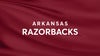 Arkansas Razorbacks Football vs. Arkansas Pine Bluff Golden Lions Football