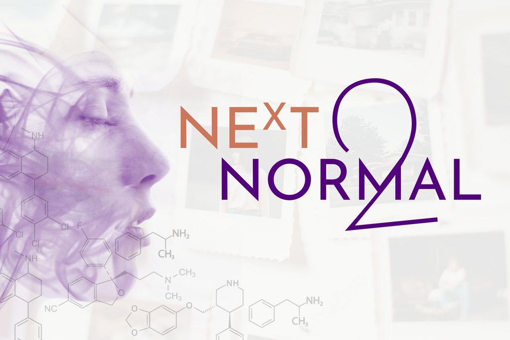 Next to Normal - Presented by Iron Crow Theatre show poster