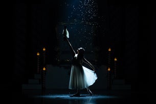 The Nutcracker