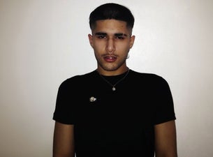 Bilde for arrangement fakemink: a Terrible Beauty . - The Tour