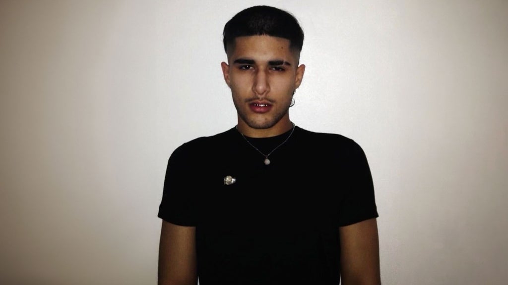 fakemink: a Terrible Beauty .- The Tour