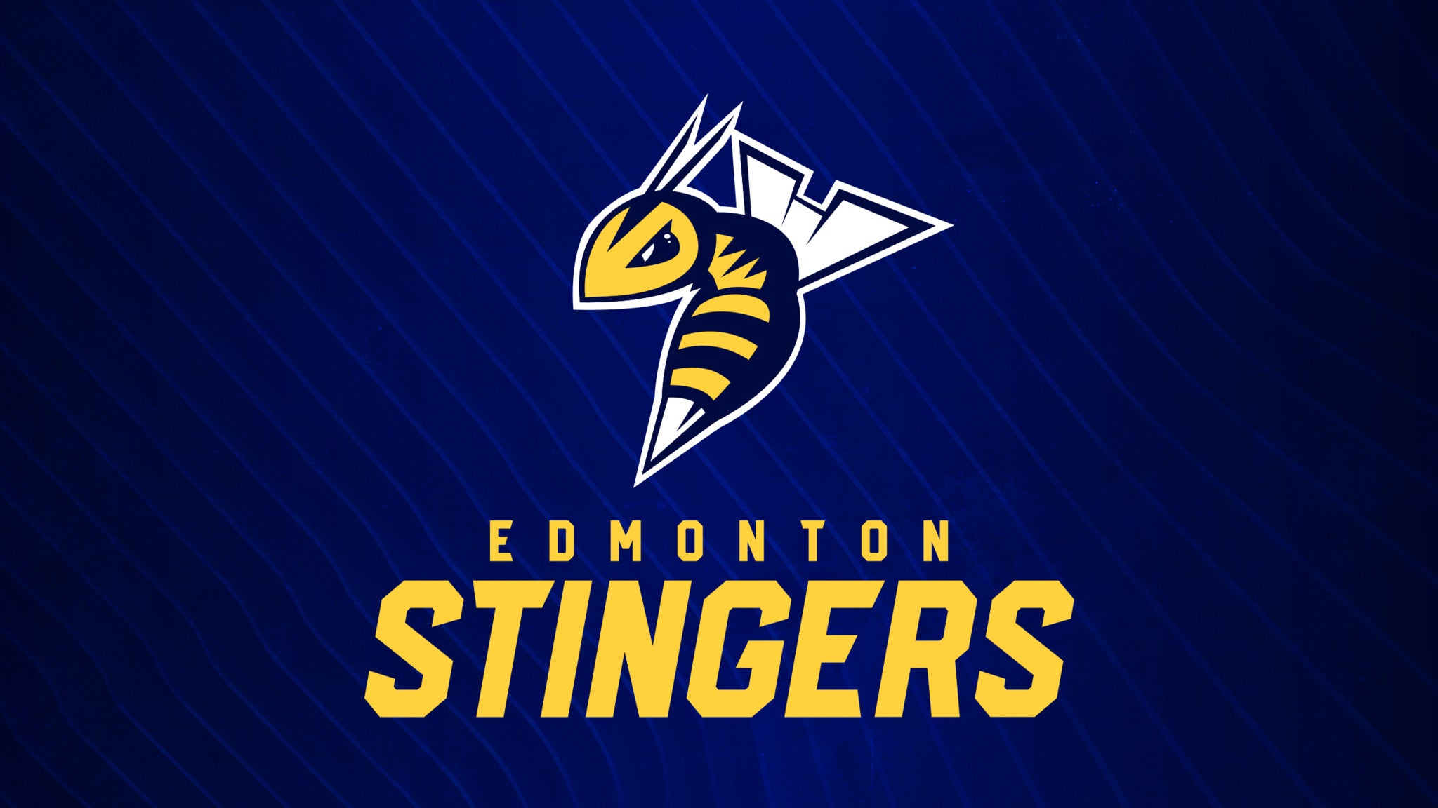 Edmonton Stingers vs. Niagara River Lions in Edmonton promo photo for Ticketmaster presale offer code