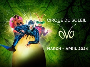 Image of Cirque du Soleil: OVO