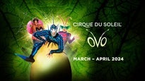 Cirque du Soleil: OVO in UK