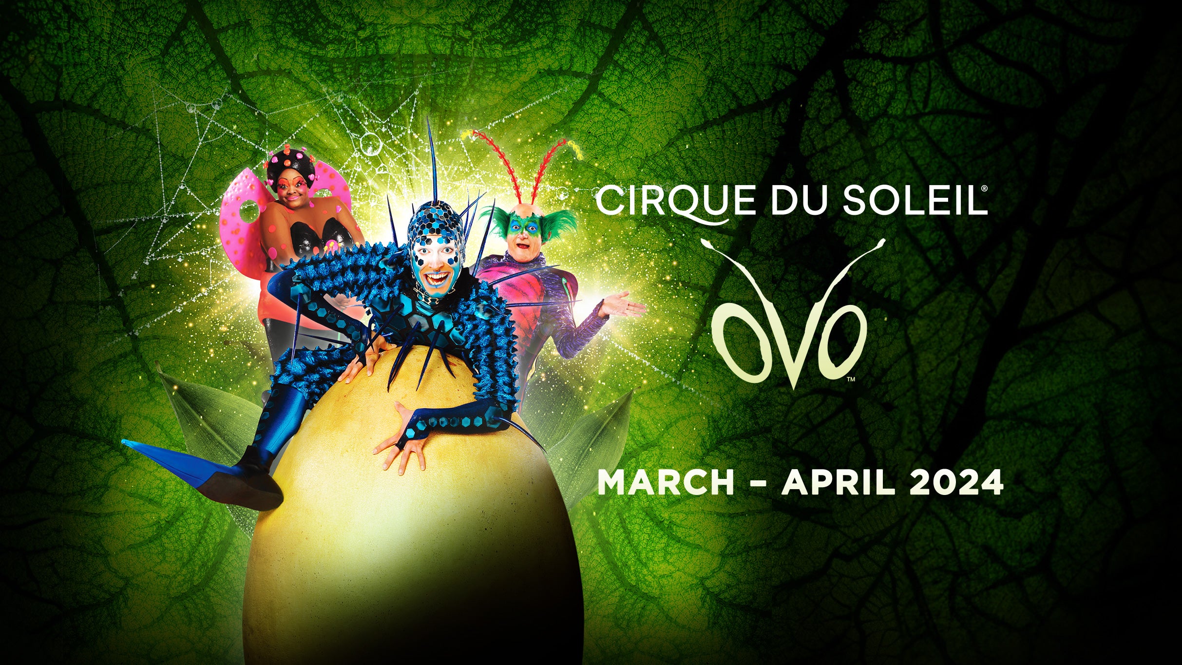 presale code for Cirque du Soleil: OVO advanced tickets in Manchester