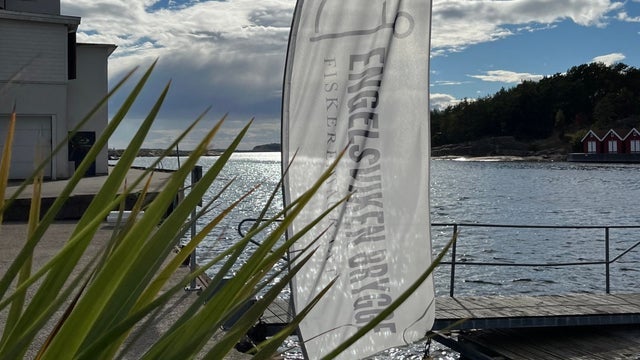 Engelsviken Brygge Festivalen 2026 - Lordag Odd Rene Andersen