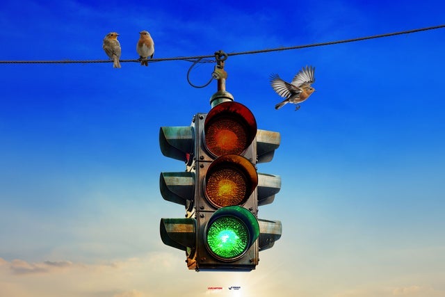 Presales to rush: fifty something: members use these when buying pre-sale tickets