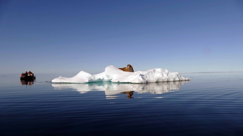 Arktis - Zwischen Eisbergen und Eisbären live