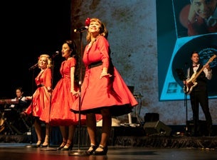 Image of Relive The Music - 50s & 60s Show