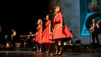 Relive The Music - 50s & 60s Show