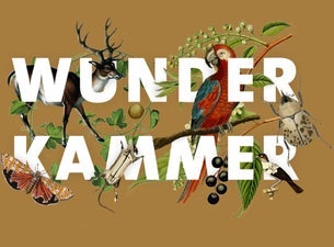 Wunderkammer: A Taxidermy Showcase and Competition