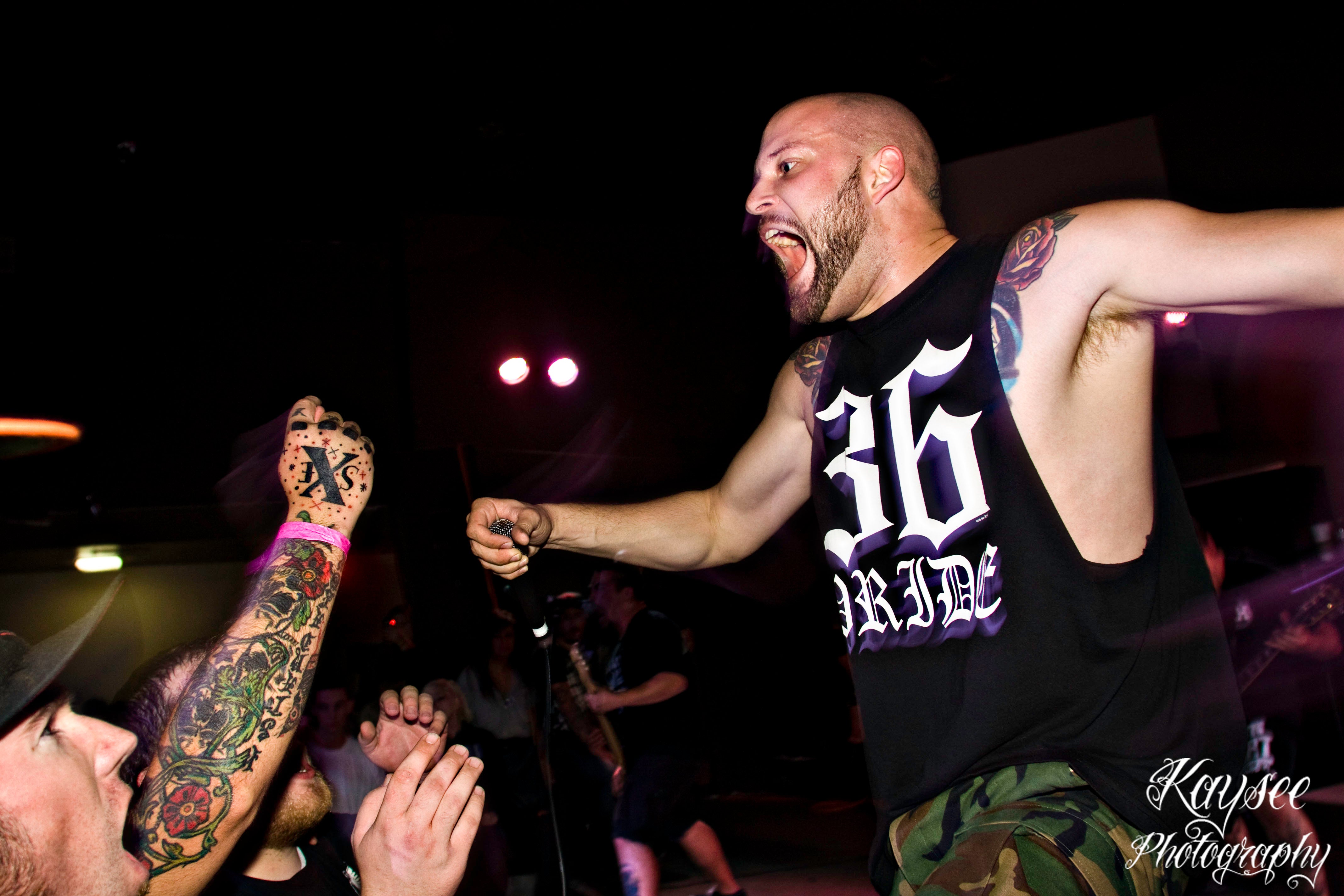 Lionheart