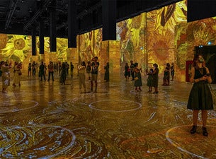 Immersive Van Gogh - Madison