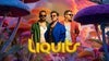 Liquits