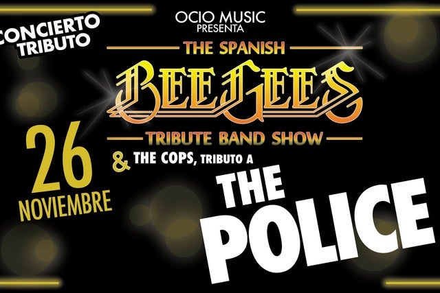 Tributo a Bee Gees & Phil Collins