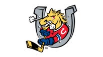 Barrie Colts in Canada