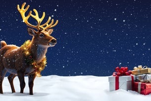 Frosted - A Winter Spectacular