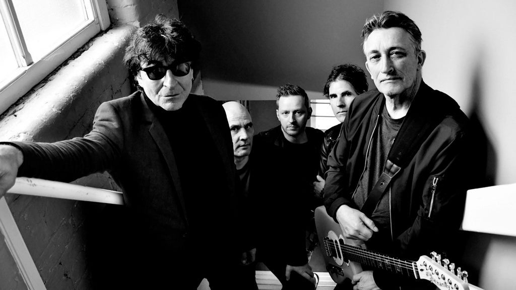 Chameleons - Image 2