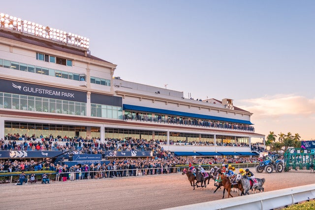 Gulfstream Park Daily Racing hero