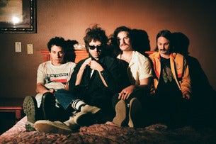 The Technicolors concert