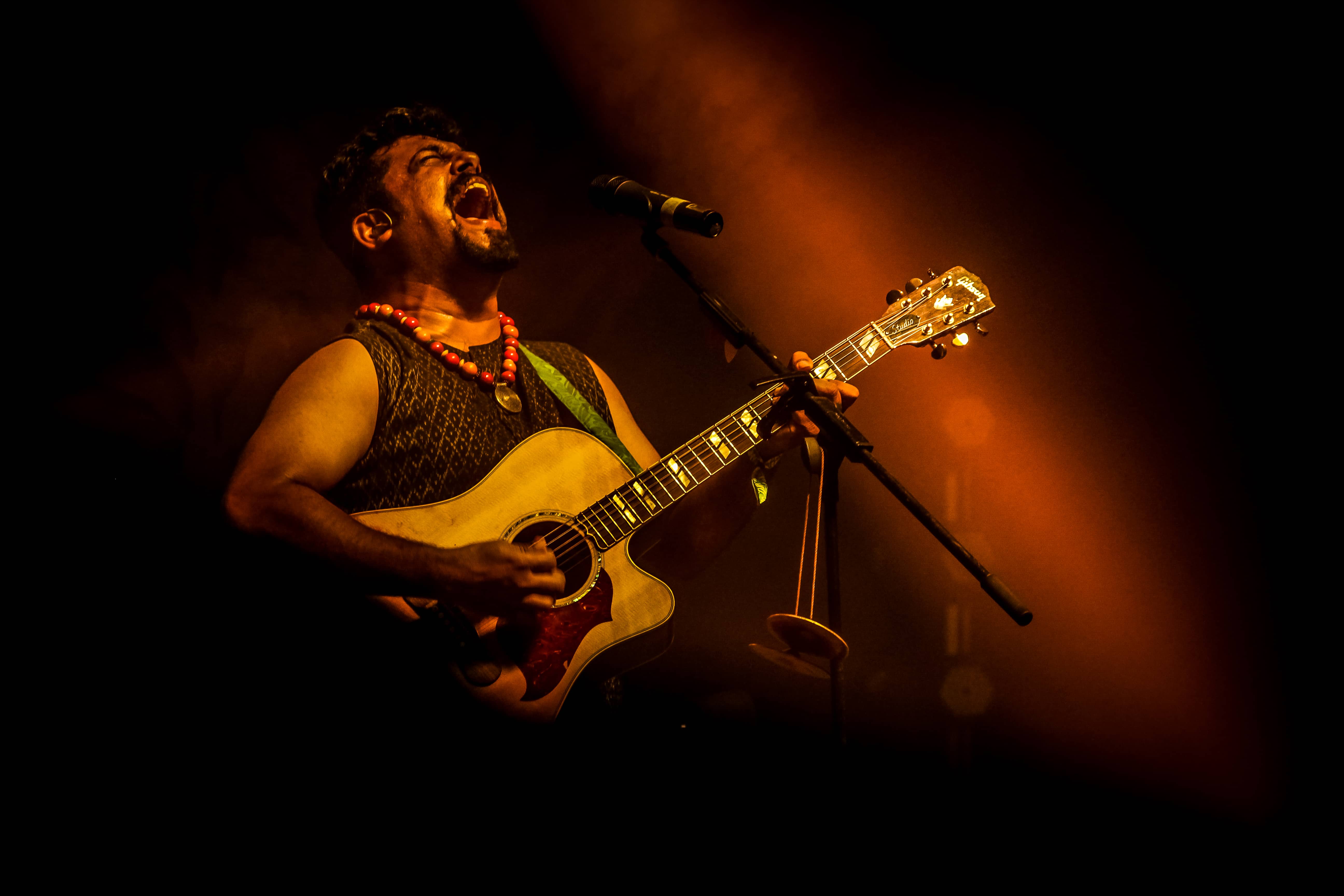 The Raghu Dixit Project Event Title Pic
