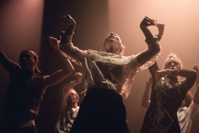 Presales to hofesh shechter: members use these when buying pre-sale tickets