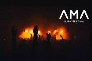 AMA FESTIVAL | Alan Walker + tba