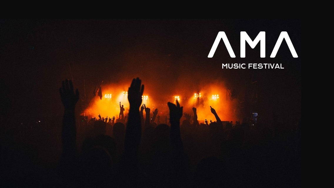 AMA FESTIVAL | Alan Walker + tba