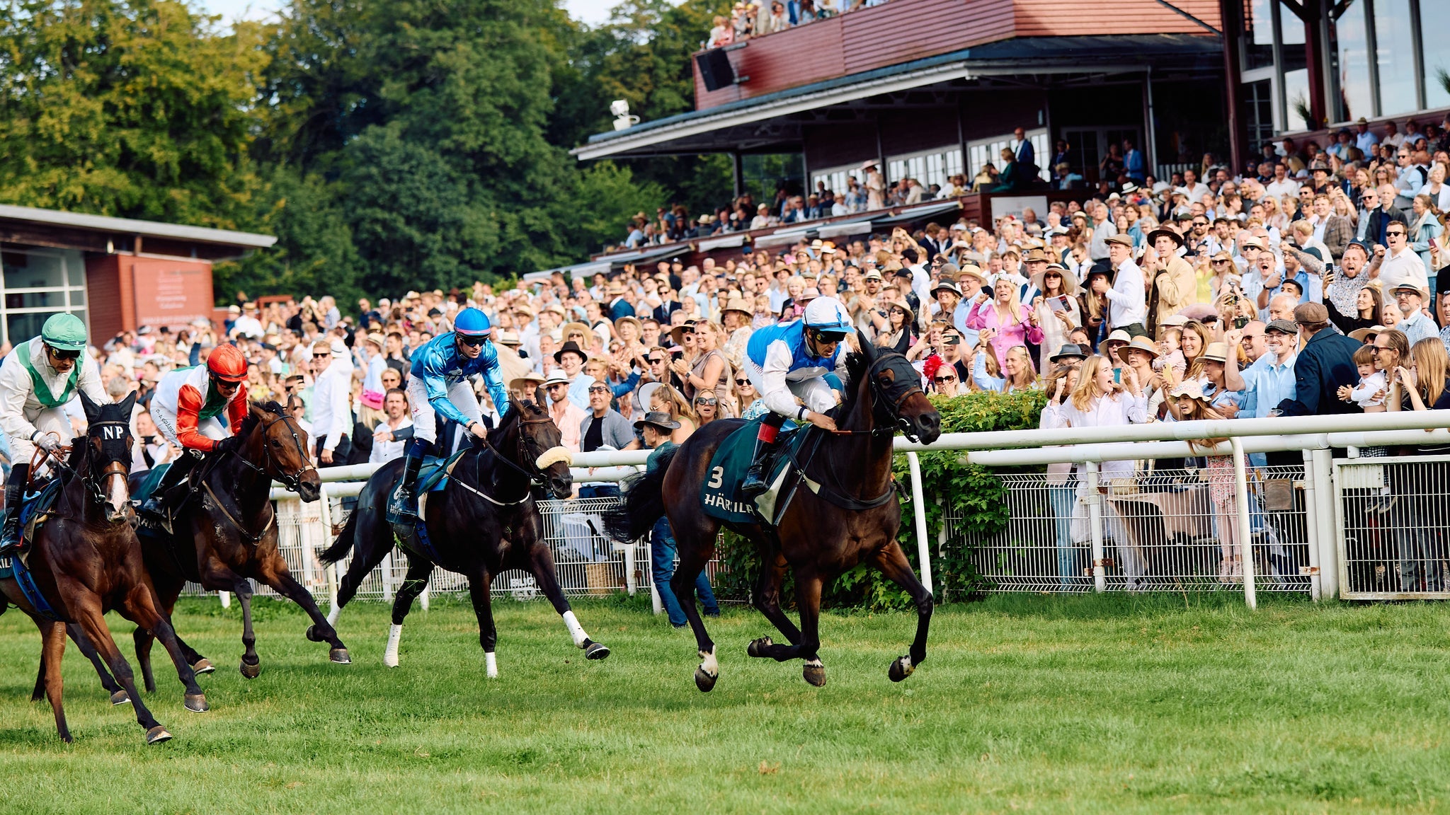 FRIDAY NIGHT RACING - Deportes en Klampenborg